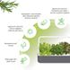 Розумний сад гідропонна установка для рослин Smart Garden 9 сірий - 3