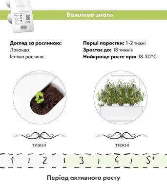 Картридж для Умного сада Лаванда Click & Grow
