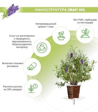 Картридж для Умного сада Лаванда Click & Grow