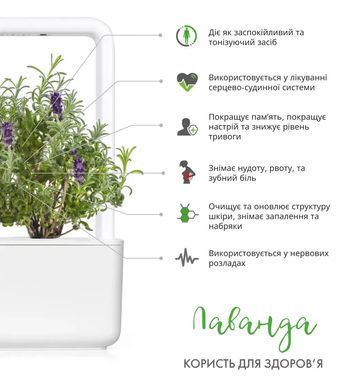 Картридж для Умного сада Лаванда Click & Grow