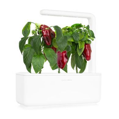 Змінний картридж Click & Grow червоний солодкий перець 3 капсули