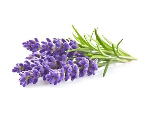 Картридж для Умного сада Лаванда Click & Grow