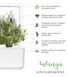 Картридж для Умного сада Лаванда Click & Grow - 8