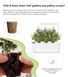 Картридж для Умного сада Лаванда Click & Grow - 3
