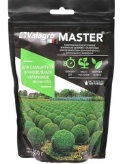 Минеральное удобрение MASTER для самшиту и вечнозеленых растений 250 г Valagro Италия