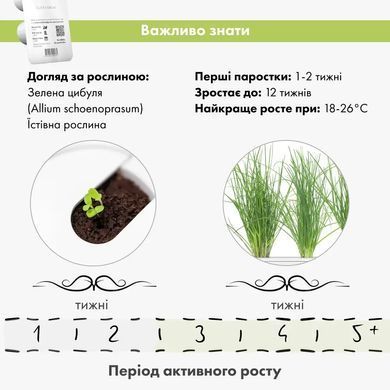 Картридж Click&Grow Лук зеленый
