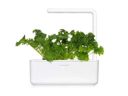 Змінний картридж Яблучна м'ята Click & Grow