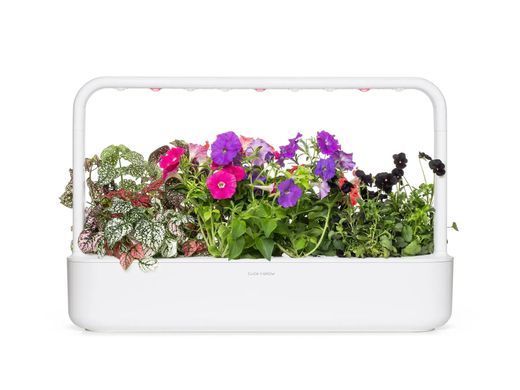 Сменный картридж Click & Grow Яркий цветочный микс 9 капсул