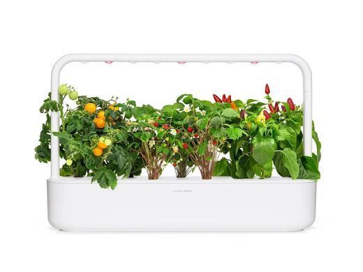 Змінний картридж Click & Grow Фрукти та овочі мікс 9 капсул