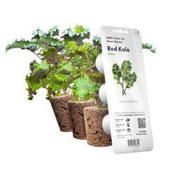 Картридж Click&Grow Красная капуста Кейл