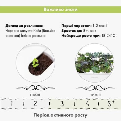 Картридж Click&Grow Червона капуста Кейл