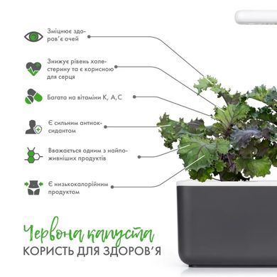 Картридж Click&Grow Червона капуста Кейл