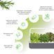 Розумний сад гідропонна установка для рослин Smart Garden 9 сірий - 3