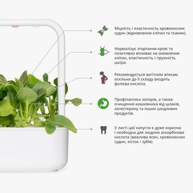 Картридж Click&Grow Пак Чой