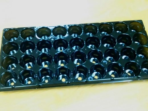 Касета пластикова для розсади з піддоном на 36 комірок , Черный