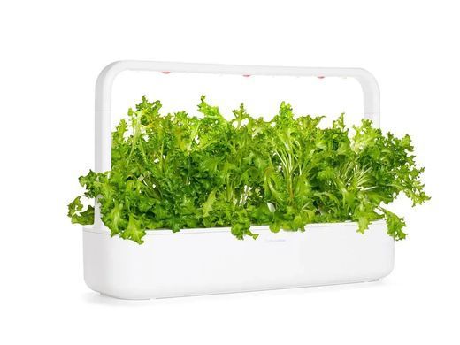 Змінний картридж Click & Grow Червоний дубовий салат 3 капсули