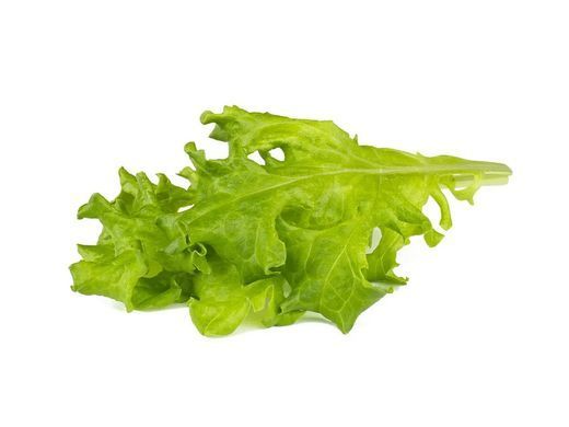 Змінний картридж Click & Grow Червоний дубовий салат 3 капсули