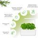 Умный сад Smart Garden 3 бежевый от Click & Grow - 9