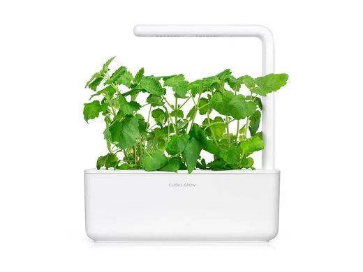 Змінний картридж Click & Grow Котяча м'ята 3 капсули