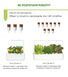 Картридж для Умного сада Перец желты сладкий Click & Grow - 11