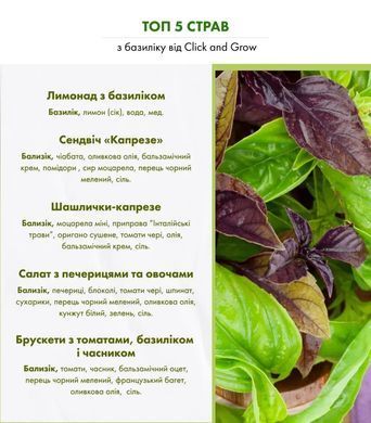 Картридж для Умного сада Красный базилик Click & Grow