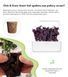 Картридж для Умного сада Красный базилик Click & Grow - 6