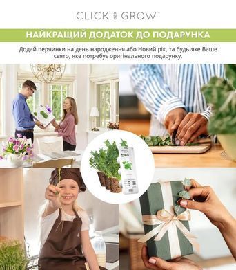 Картридж для Розумного саду Рукола Click & Grow