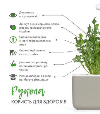 Картридж для Розумного саду Рукола Click & Grow