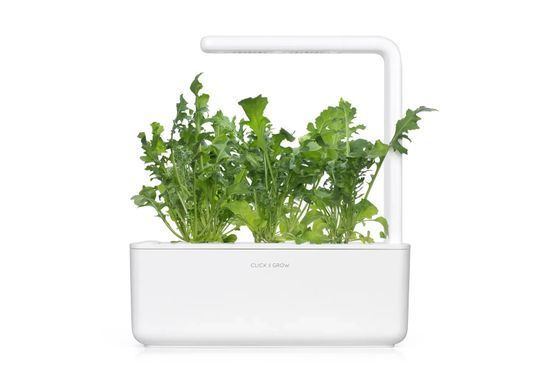 Картридж для Розумного саду Рукола Click & Grow