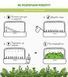 Картридж для Розумного саду Рукола Click & Grow - 11