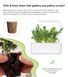 Картридж для Розумного саду Рукола Click & Grow - 6