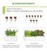 Картридж для Розумного саду Рукола Click & Grow - 9